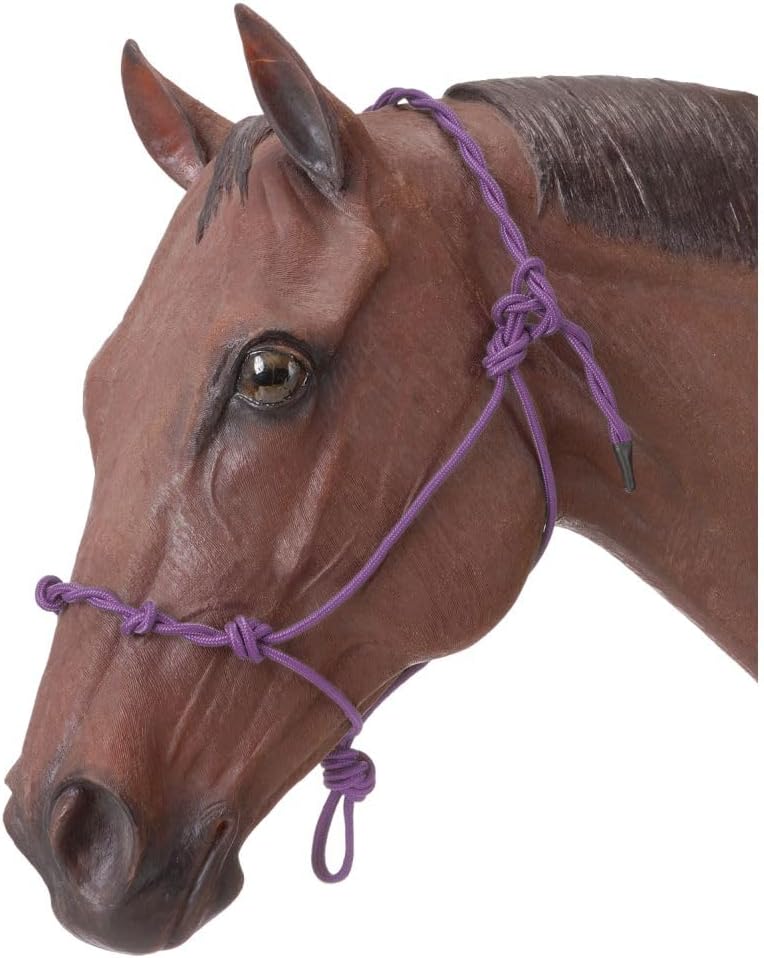 Tough 1 Knotted Rope & Twisted Crown Training Halter