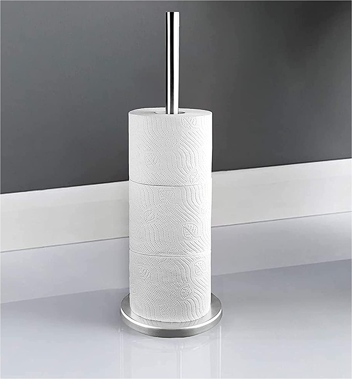 Home & Style Toilet Paper Roll Holder in Colour Box Standing Silver