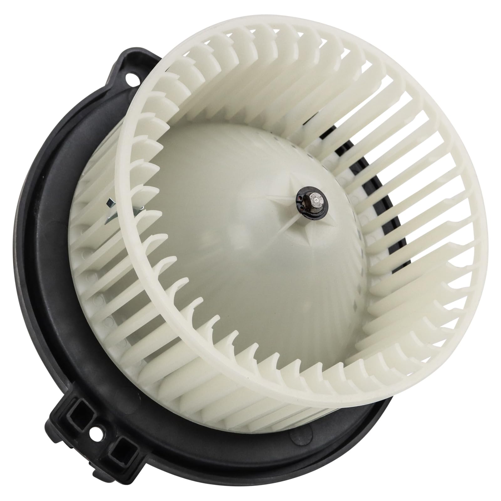 TRQ Heater Blower Motor w/Fan Cage