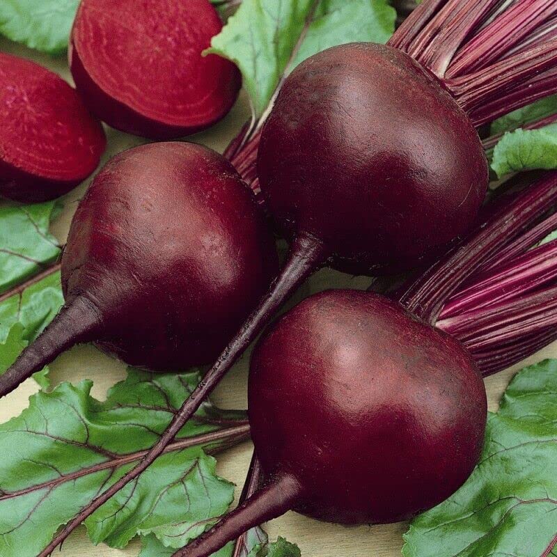 M-Tech Gardens Rare Hybrid Beet Root " Red Giant " Exotic 20 Vegetable Seeds for Growing (B0BNSX6BVP) Amazon Price History, Amazon Price Tracker