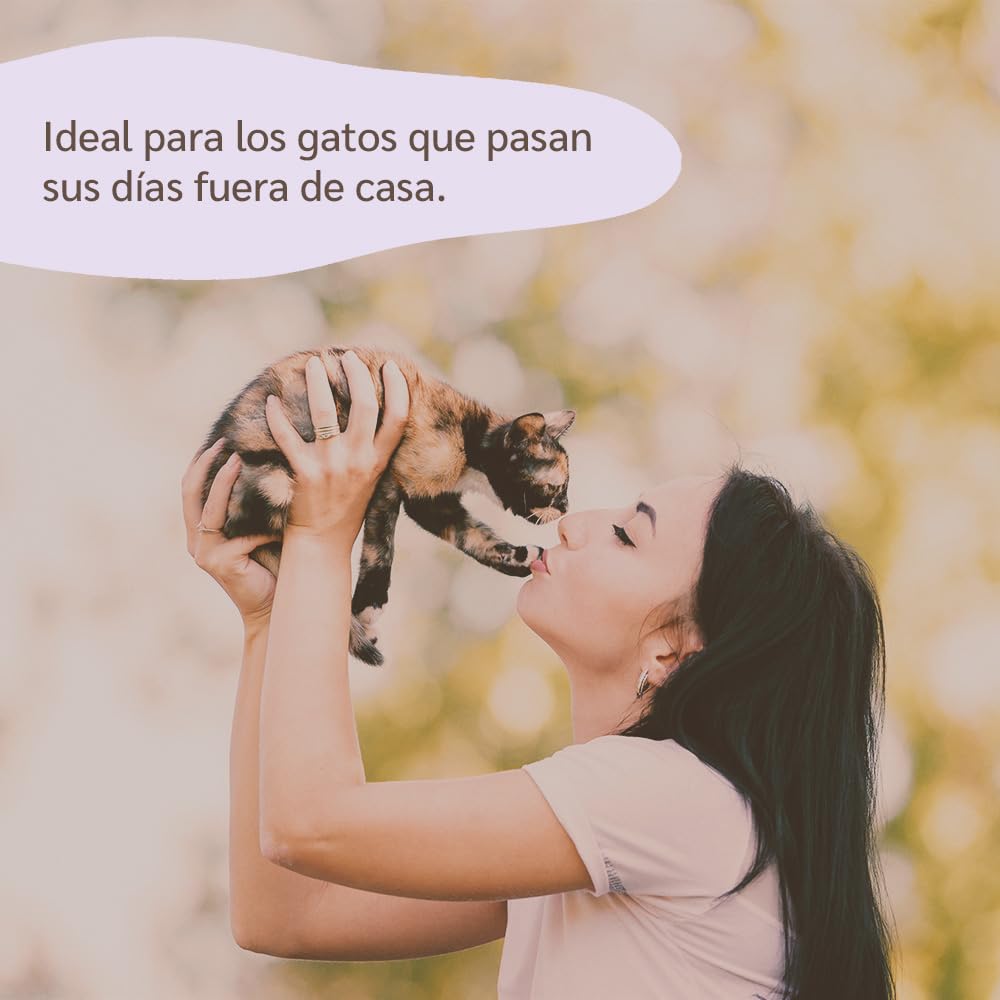 Aceite de Neem Spray para Gatos de Amusi 100 ml Made in Italy 100% Natural y Vegano | Spray Gatos antipulgas - contra Insectos y Pulgas - contra Garrapatas, Mosquitos, Moscas, Ácaros y Piojos