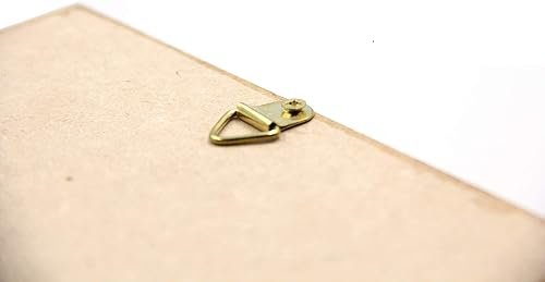 Miniatura 10 de Real 5 Horned Beetle/Eupatorus Gracilicornis Flying Form Taxidermy in Transparent Box Display (Black Wooden Box)