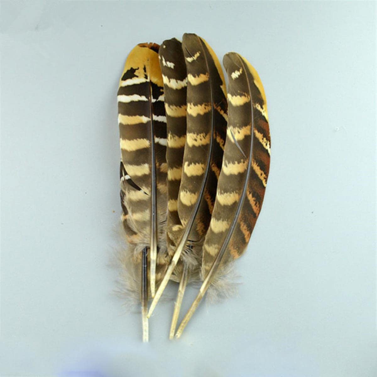 Plumes de faisan naturelles de 10-15 cm sans défaut pour customisation textile