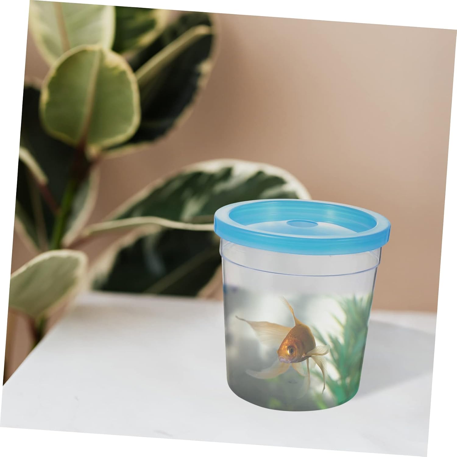 Container Box Unique with Cover Breeding Design Plastic Feeding Reptile image 3