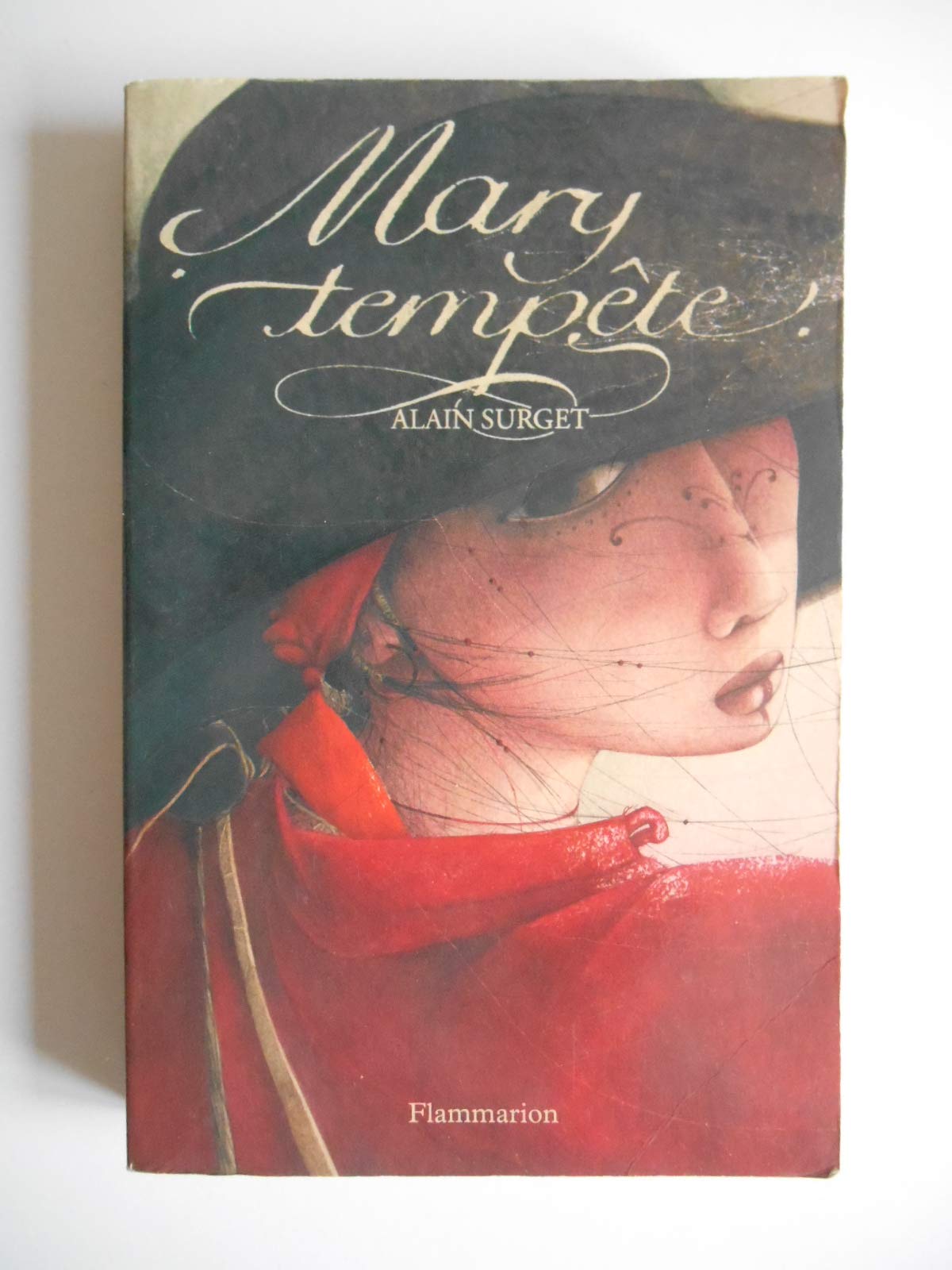 Mary Tempête: Le destin d'une femme pirate