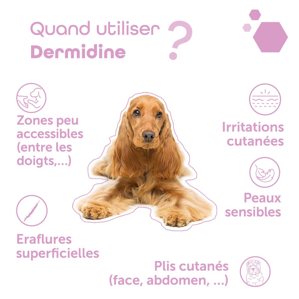 MP Labo Dermidine - Spray pour l'Hygiène Cutanée pour Chien et Chat à Base de Calendula et de Centella Asiatica pour Un Effet Calmant, Emollient et Hydratant (125 ML)