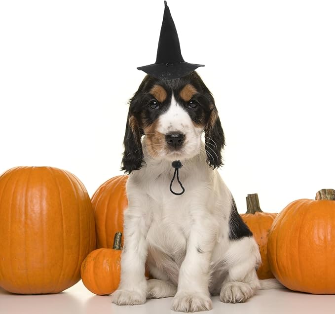 Sombrero de Bruja para Perros y Gatos Ajustable Halloween BESTOYARD miniatura 8