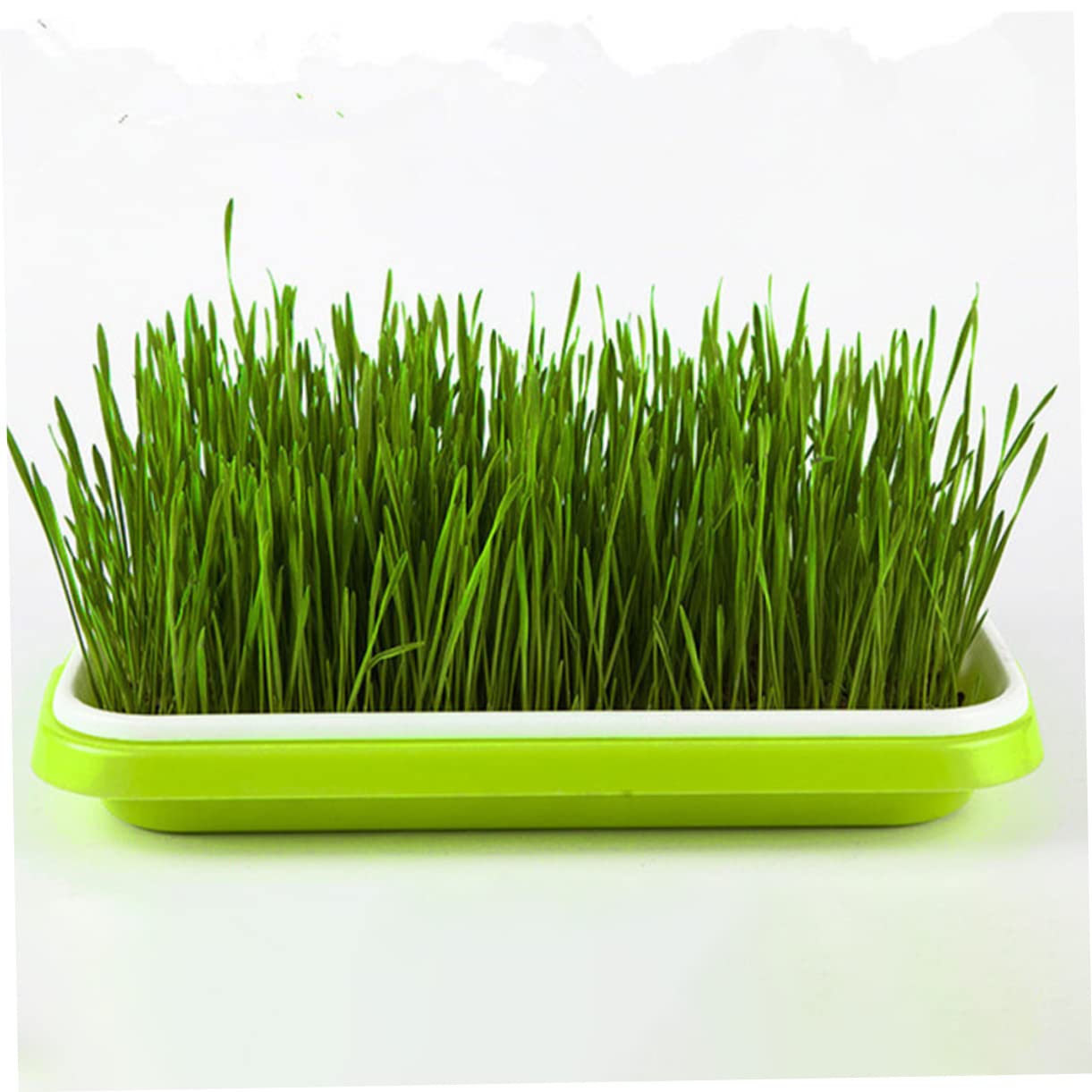 BESPORTBLE 5pièces Plateau de Germination Hydroponique Plateaux de Culture Sol Plateau de Germination Pratique