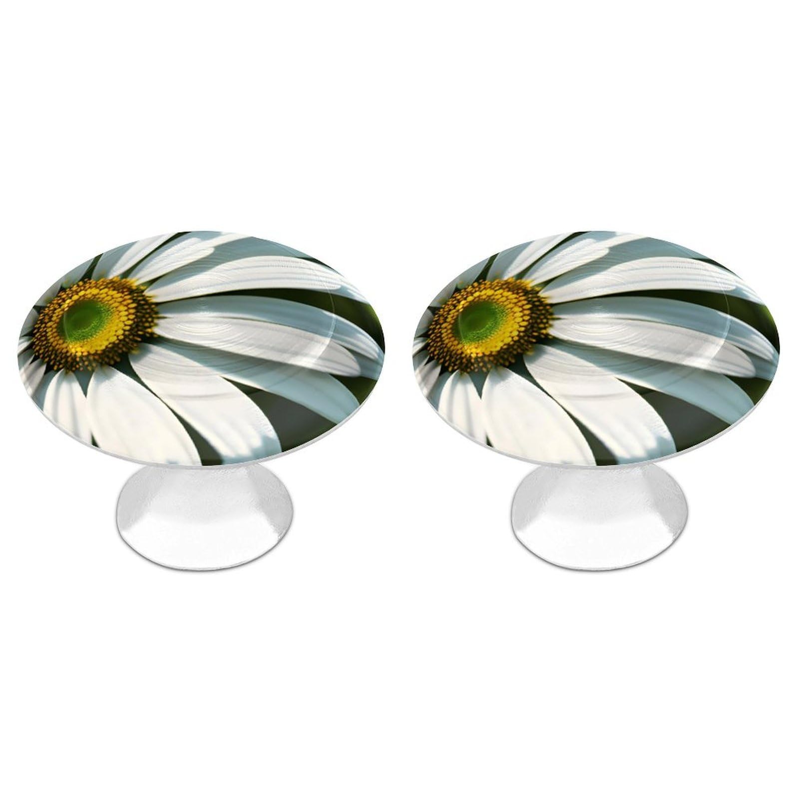 Btcowzrv Style Daisy 2 Pack Cabinet Knobs Drawer Pulls