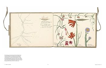 Botanical Sketchbooks 植物　スケッチ　絵画　洋書 Botanical Sketchbooks 植物 スケッチ 絵画 洋書