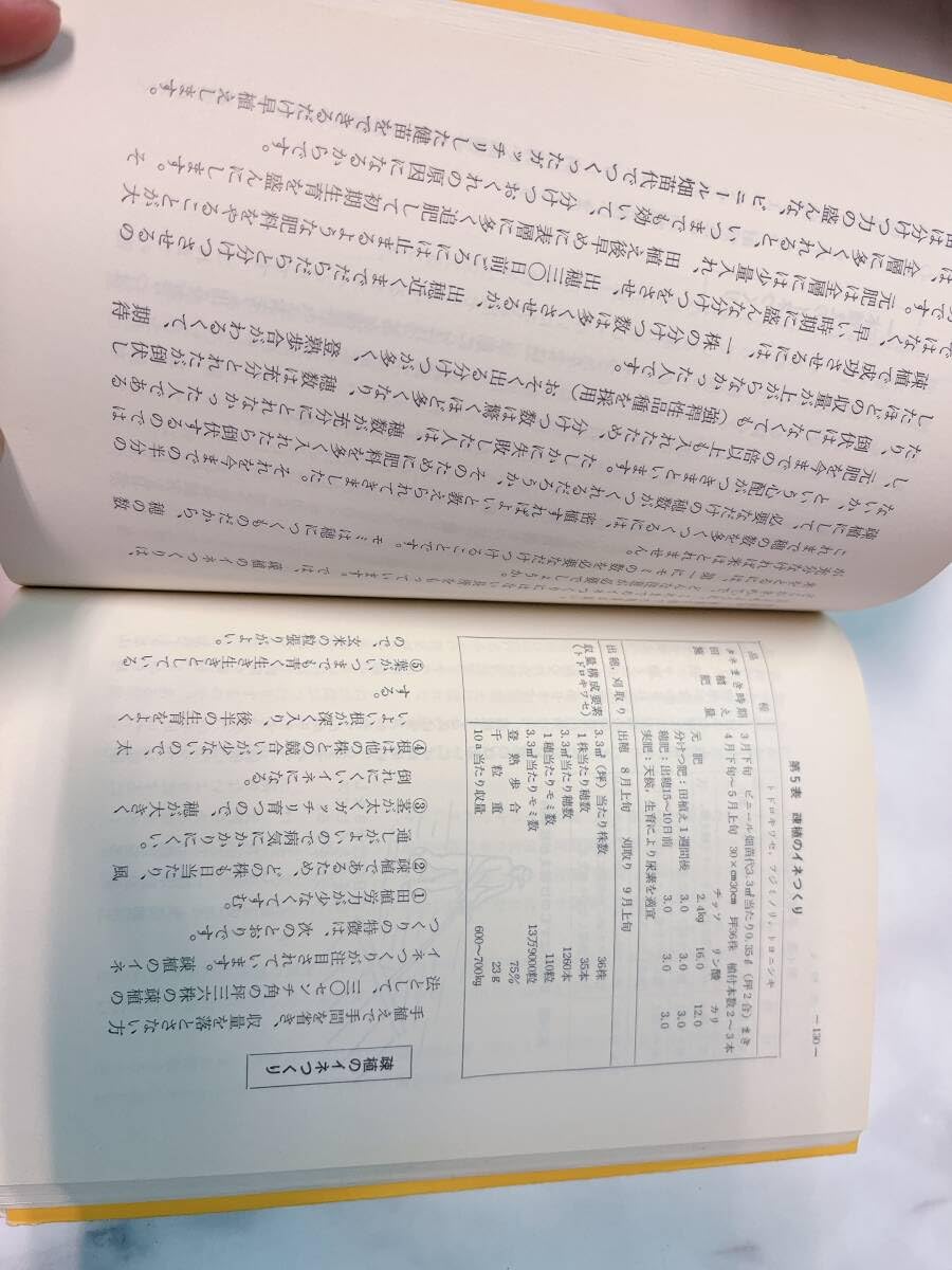 Amazon.co.jp: イネつくり12ヵ月 手植えの技術 渡辺正信 農山漁村文化 