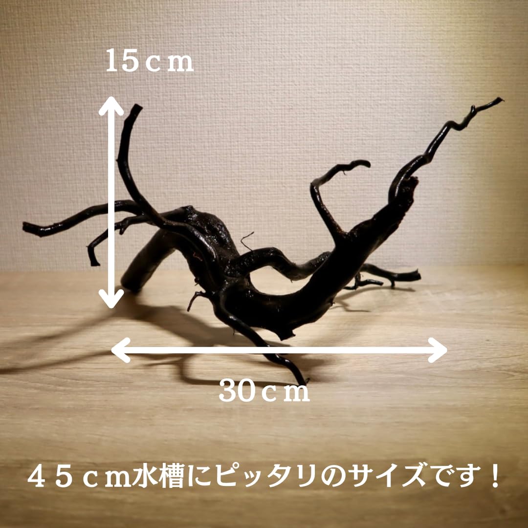 U10天然流木2個組レイアウト用品、アク抜き済（沈水しません） | アク抜き済み枝流木 ４５ｃｍ水槽用 沈水確認 あく抜き済み