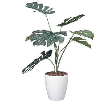 Amazon｜観葉植物 造花 「モンステラ 90cm」 光触媒(空気清浄