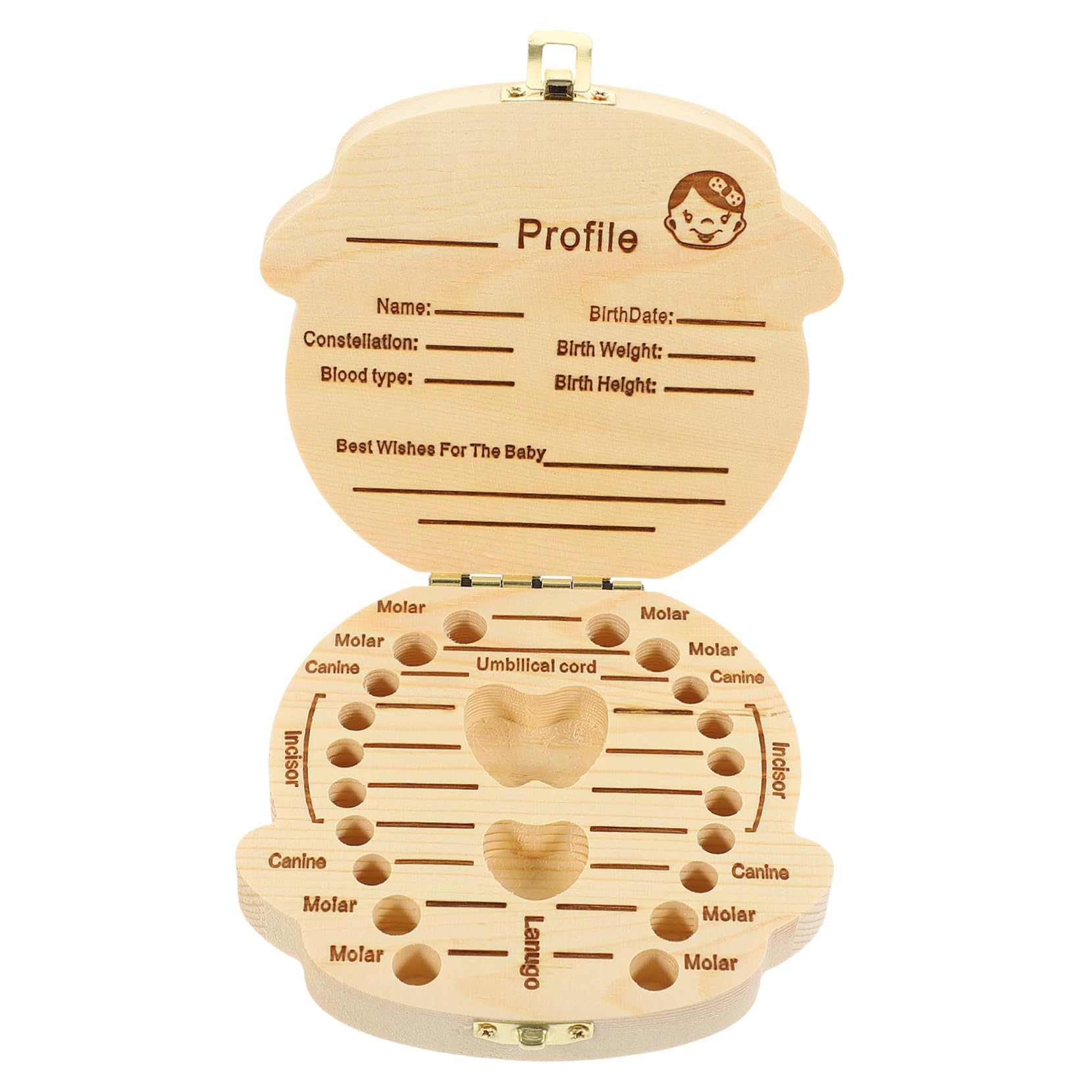 HANABASS Baby Teeth Storage Holder Wooden Memorial Container Elegant Separate Rooms for Each Tooth