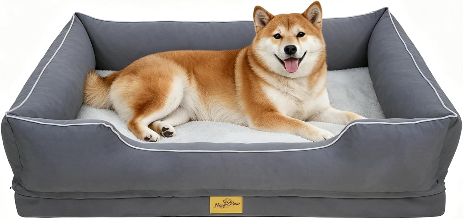 BingoPaw Orthopädisches Hundebett für kleine mittelgroße große Hunde, grau beige