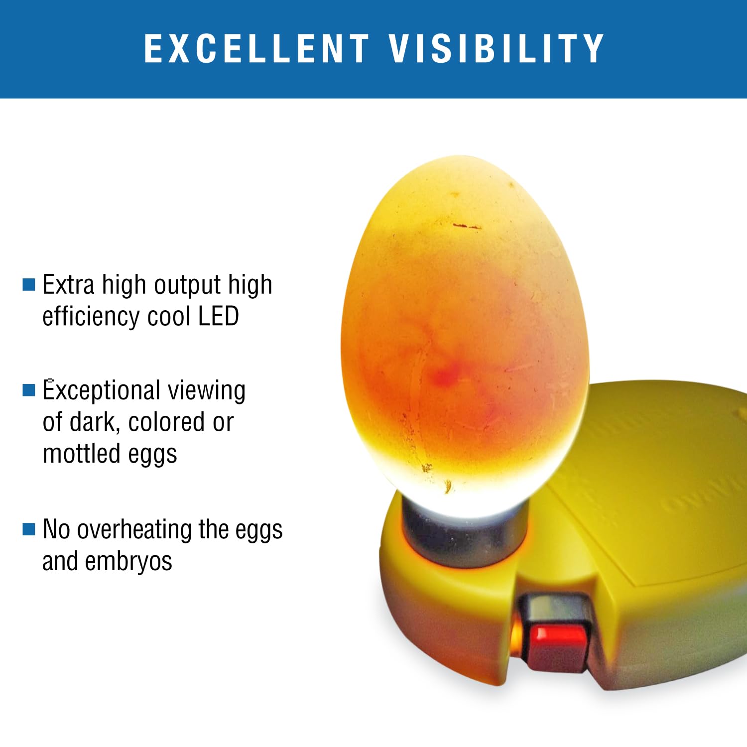 Amazon.com: Brinsea OvaView High Intensity Egg Candler for