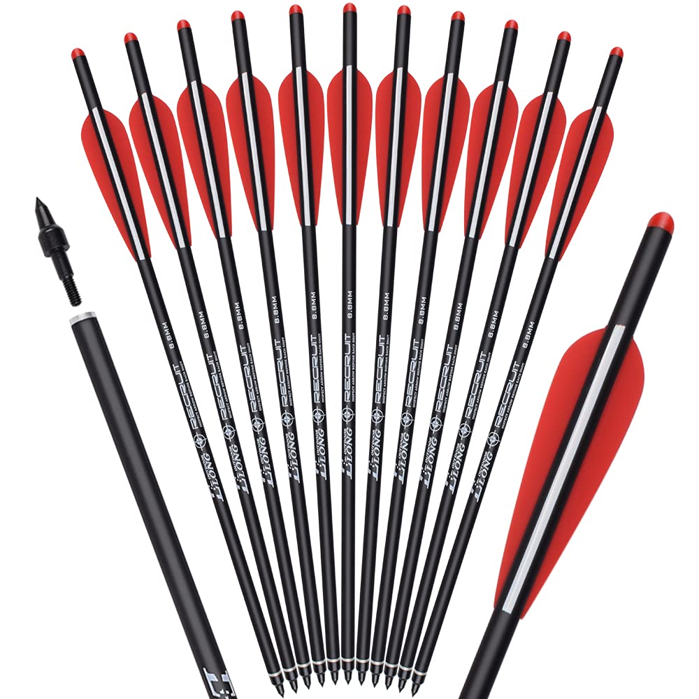 16 pulgadas