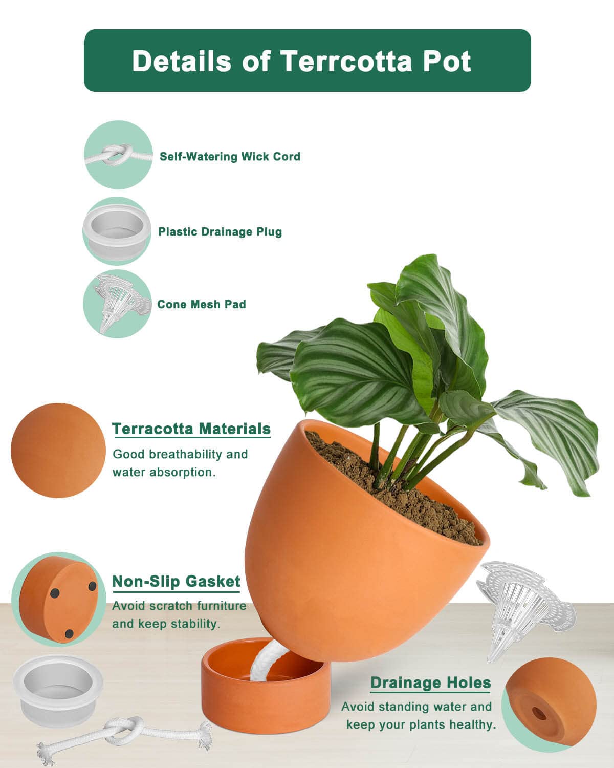vensovo Terracotta Self Watering Plant Pot 2 PCS 6 Inch & 8 Inch
