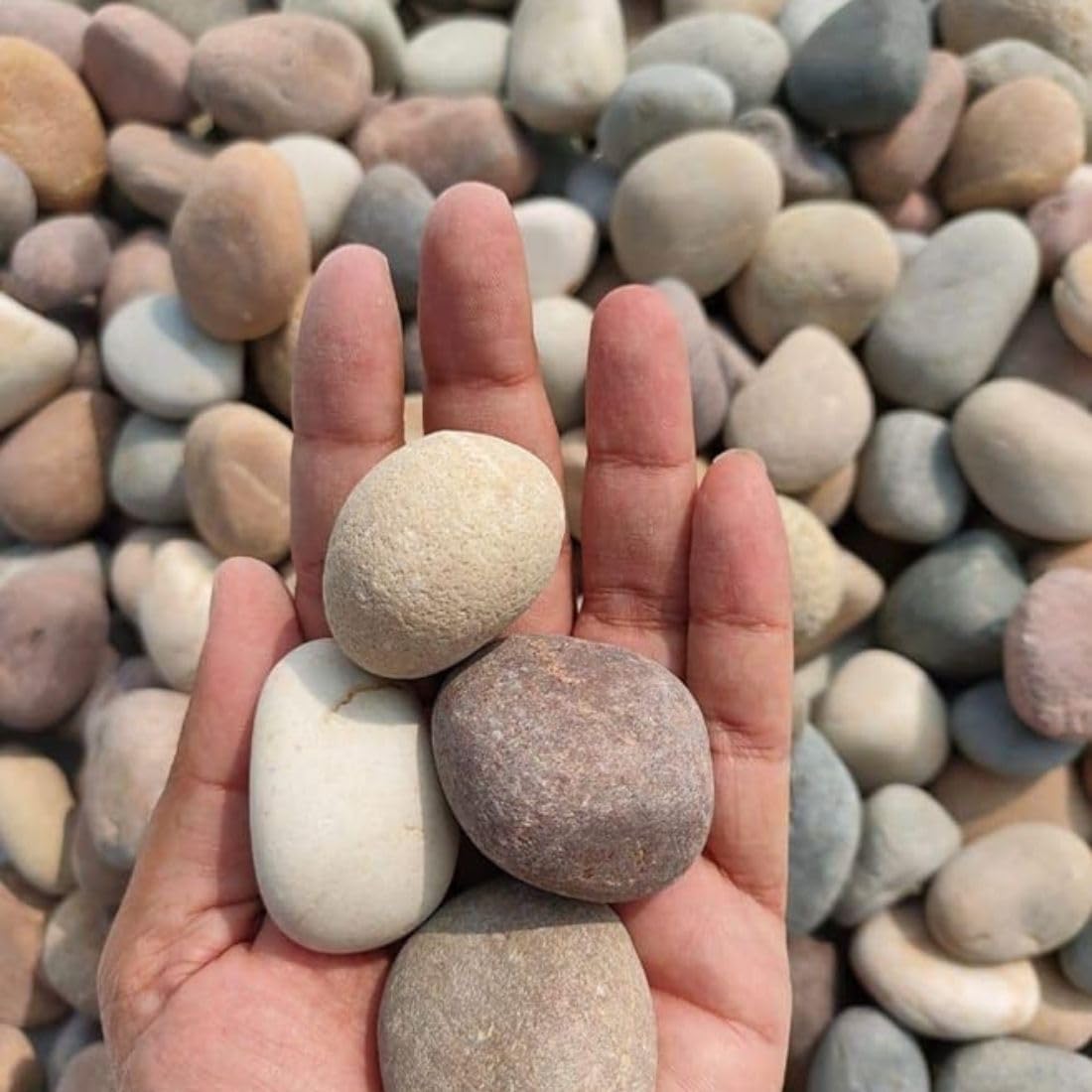 RK Trends Natural Stone Pebbles - Ideal for Landscaping and Home Decor (4)