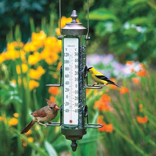 Termómetro de comedero para pájaros: mantén un registro de tus amigos y la temperatura - Un alimentador por oferta