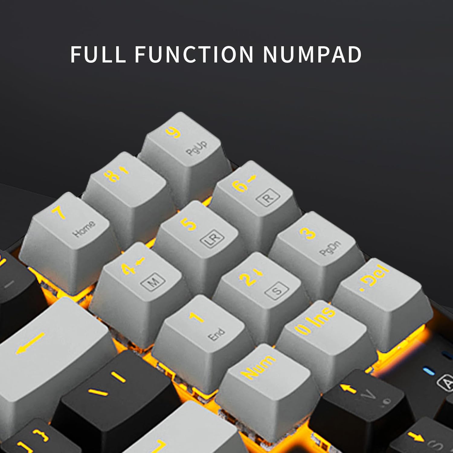 Mechanical Keyboard Hotswap 87 Keys Wired USB Gaming Keyboard Blue LED Backlight/N-Key Rollover, Tenkeyless Computer for Windows Mac PC Gaming (B&G Brown Switch)