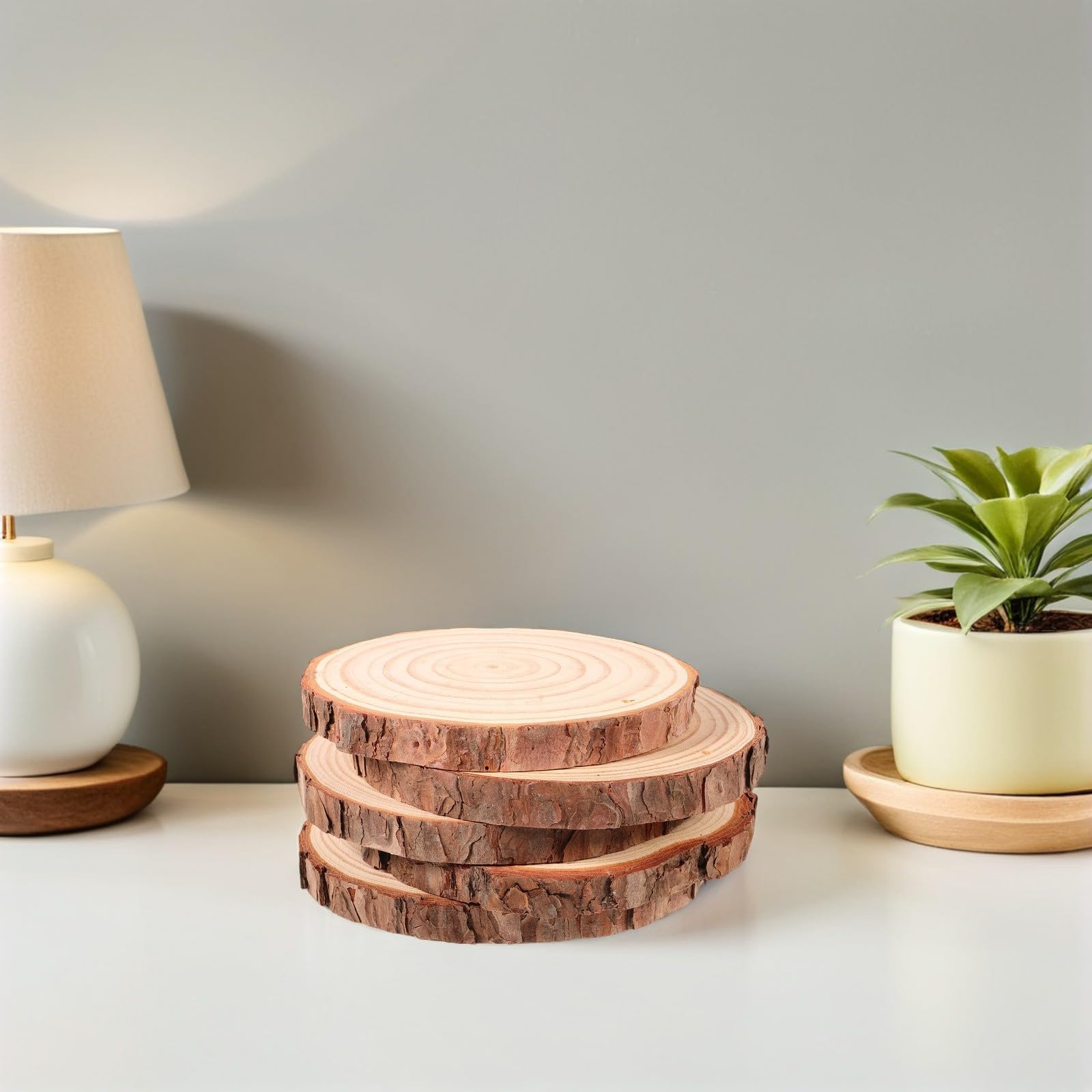 GALPADA 5 Stück Teiliges Runde Holzscheiben Natürlich Unbehandelt mit Rinde für DIY Basteln Tischdeko Untersetzer Vielseitige Holzchips für Kreative Wohnraumgestaltung