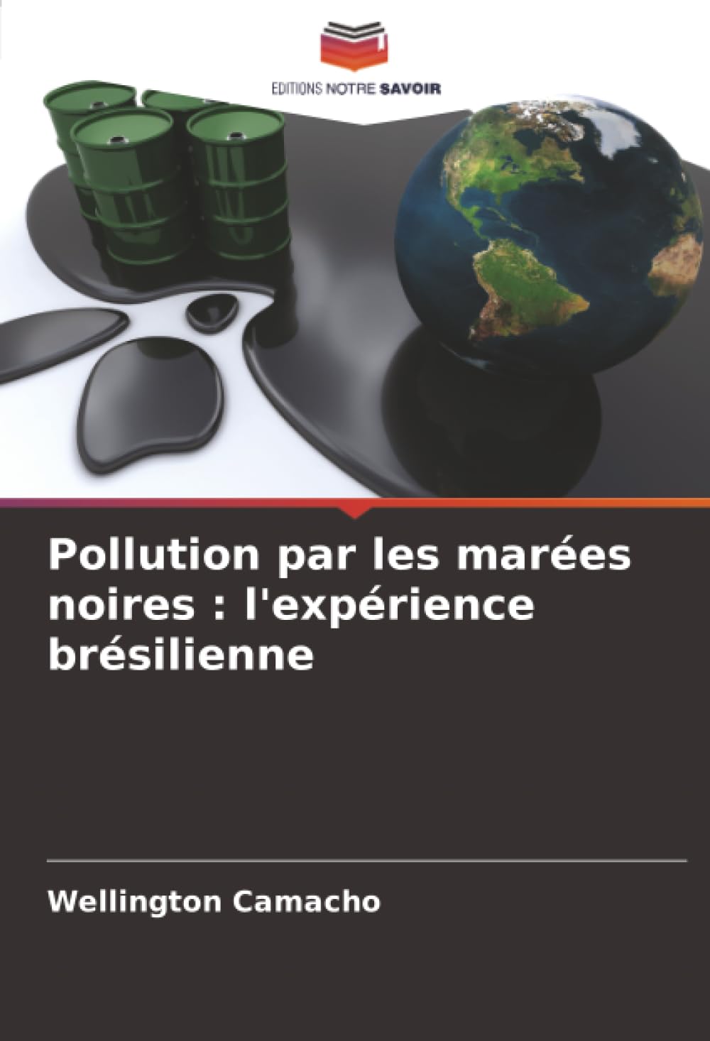 Pollution par les marées noires : l'expérience brésilienne