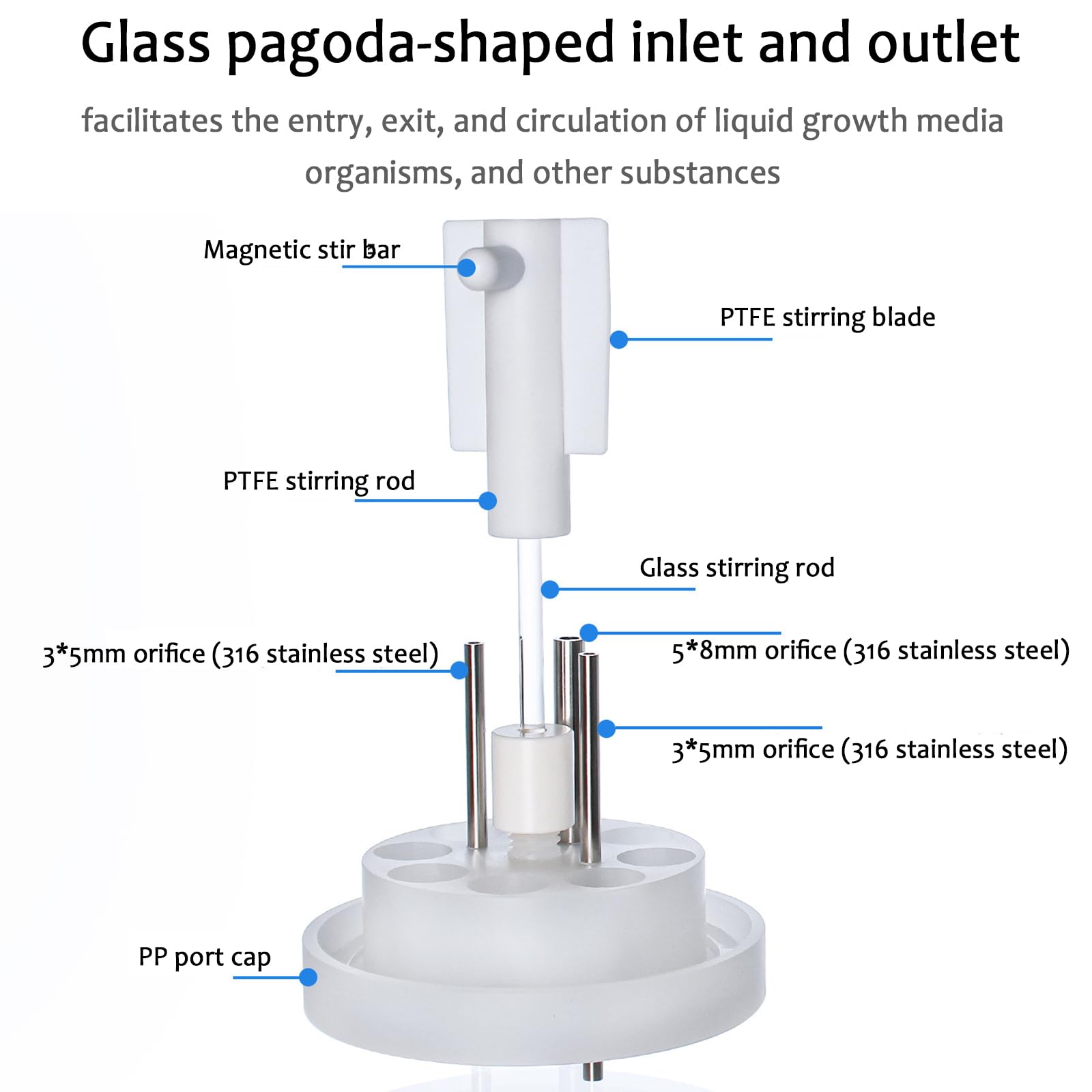 Reactor De Biopelícula De Vidrio De Alto Borosilicato De 1000 ML – Recipiente De Cultivo Anaeróbico De Grado De Laboratorio con Agitación Magnética, para Simulación Microbiana E Investigación