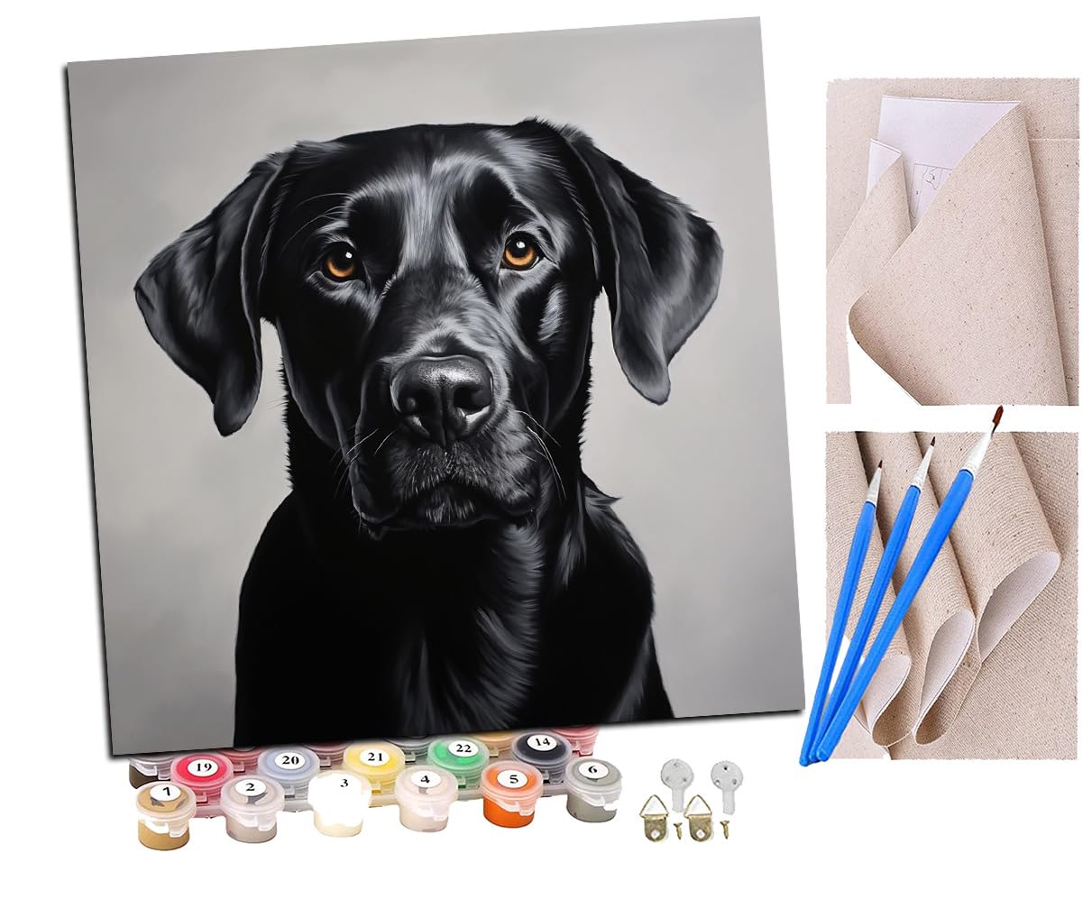SENDJJ Paint by Numbers Black Labrador Dog, pet (4) Paint by Numbers Kits for Adults Kids Beginners 40 x 50 cm Adults with Paintbrushes DIY Painting for Home Decoration Without Frame