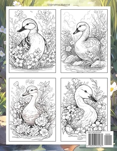 Ducks Coloring Book: Ducks Coloring Page, Quirky Waterfowl for Creative Coloring