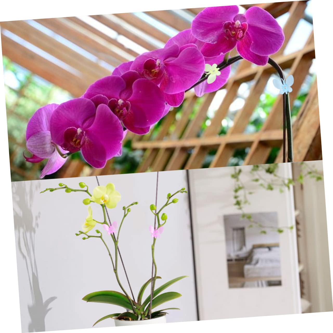Supvox 3 Sets Mit 30 Marienkäfer-Clips Feste Clips Für Orchideenranken Kunststoff-pfropfclips Für Den Garten Sicher Und Robust Zur Pflanzenunterstützung 60 Stück * 3