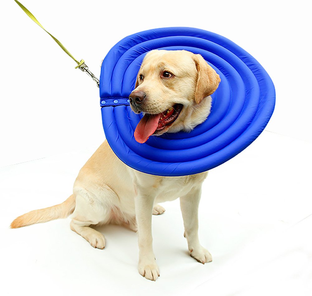 dog anti bite collar