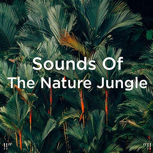 Deep Sleep & Sleep Sound Library