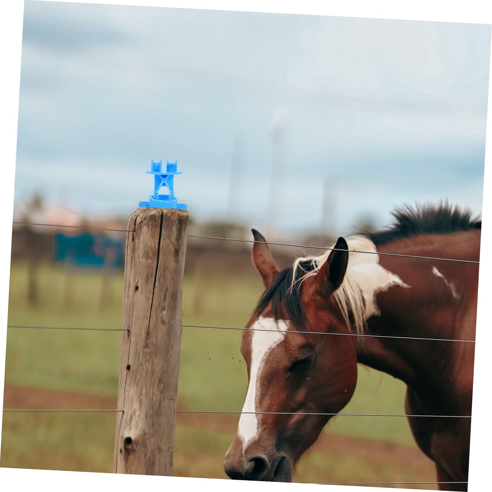 Sosoport 50pezzi Isolatori Per Filo Ad Anello Resistenti e Isolanti Per Recinzioni Agricole Impermeabili e Antiusura Per Recinto Con Paletti Accessori Essenziali Per Sicur