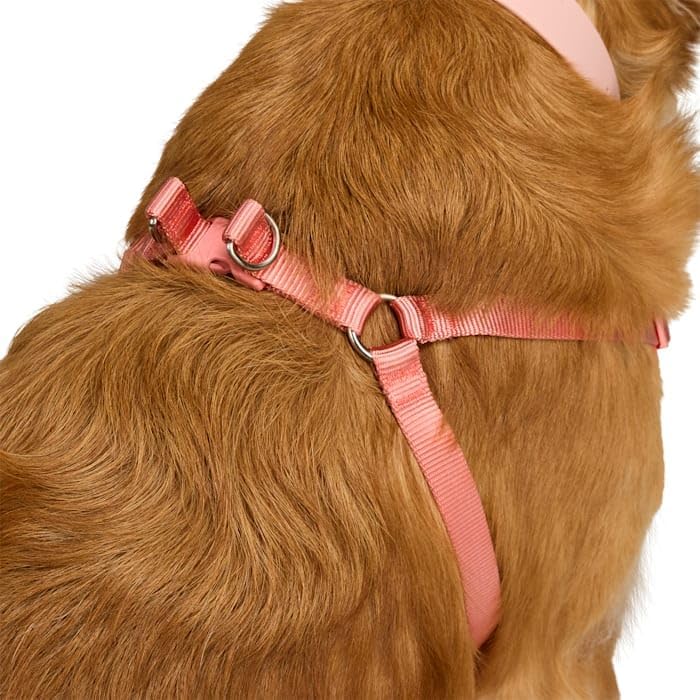 EveryYay by Petco Step in Dog Harness Pink Small