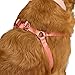 EveryYay Step in Dog Harness Pink Small