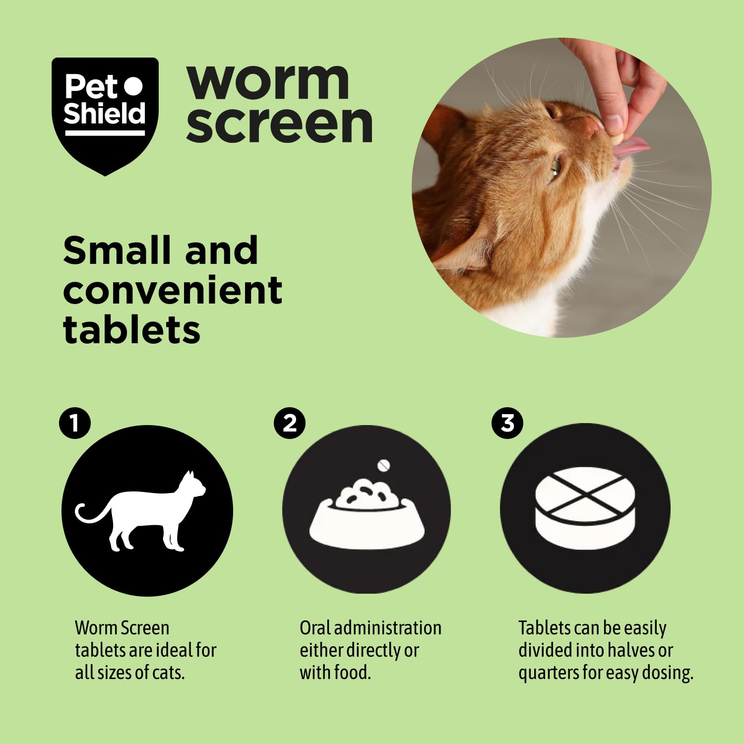 Pet Shield Worm Screen, Cat Worming Treatment, Vet Approved Dewormer for Cats & Kittens Over 6 Weeks / 1kg+ in Weight - Image 4