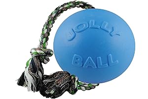 Jolly Pets Romp-n-Roll Dog Toy: The Perfect Self-Play Companion for Outdoor Adventures
