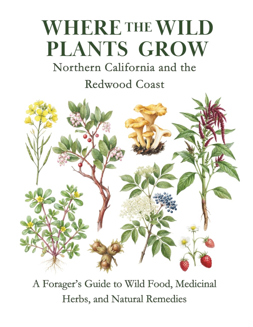 Where the Wild Plants Grow: Northern California and the Redwood Coast: A Forager’s Guide to Wild Food, Medicinal Herbs, and Natural Remedies (Where the Wild Plants Grow: Illustrated Foraging Guides)
