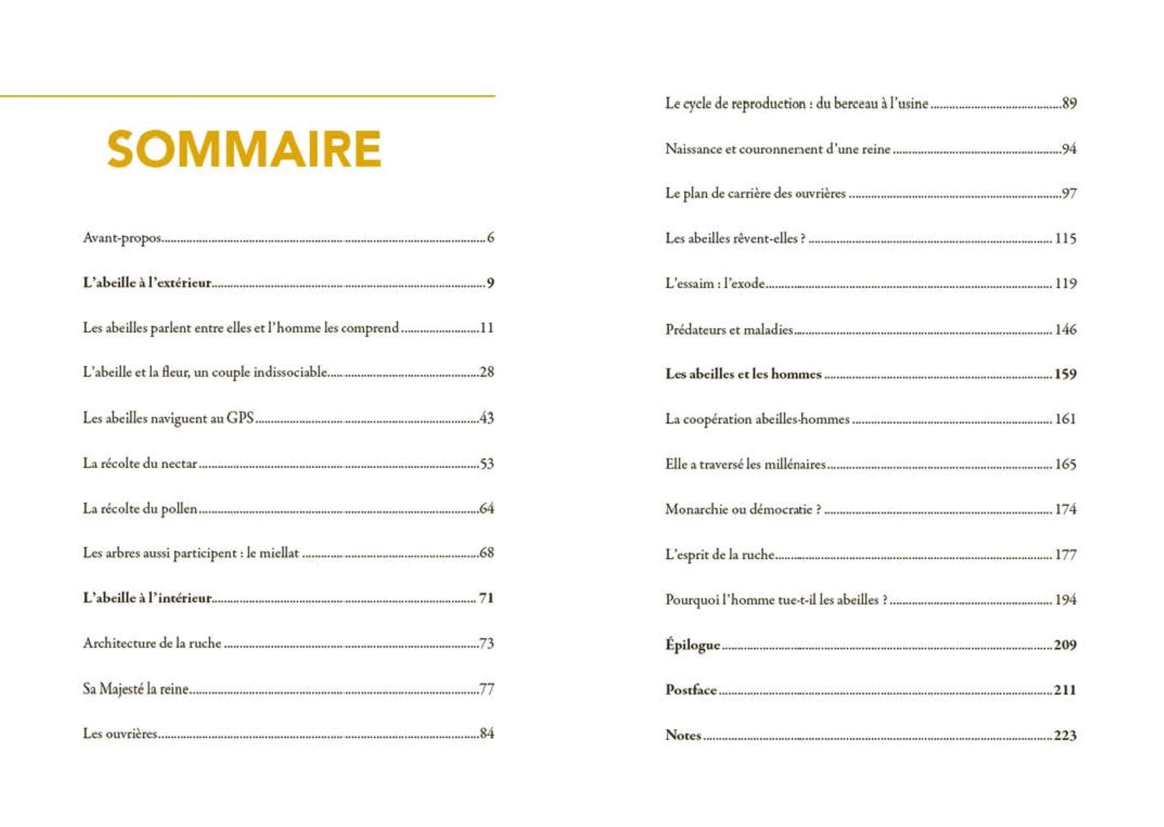 La Vie secrète des abeilles: L'esprit de la ruche