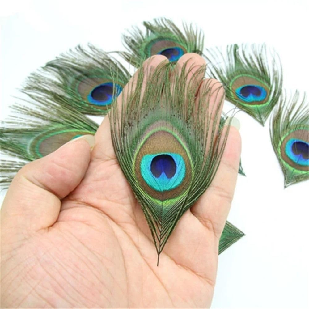 Small Size Cutting Mor Pankh, Real Peacock Feathers Tails for Good Luck and Craft (4)-image-40