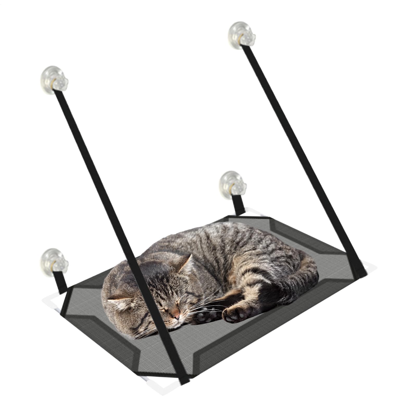 Perchoir de fenêtre pour chat - Étagère suspendable pour petits espaces et appartement