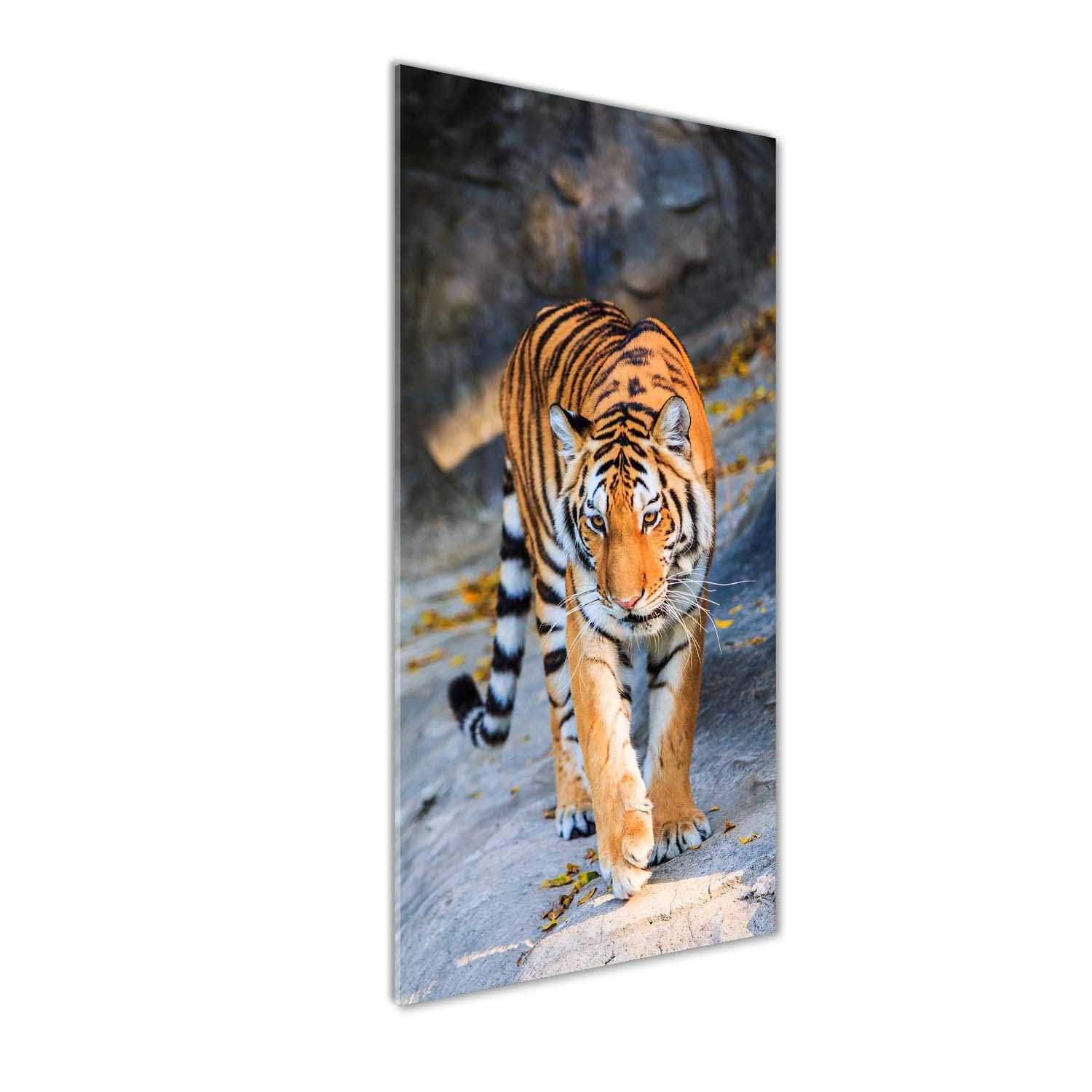 Tableaux pour la mur tigre orange Tulup en verre acrylique 50x125