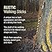 Brazos Rustic Wood Walking Stick, Twisted Sweet Gum, Traditional Style Handle, for Men & Women, Made in the USA, 48