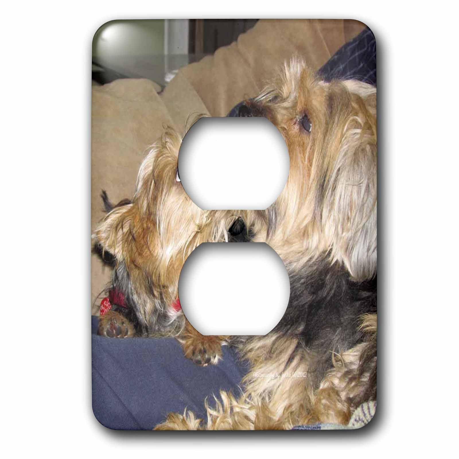 Housse de prise 2 prises Yorkie Dogs 3dRose LSP_195209_6 design chiens multicolore