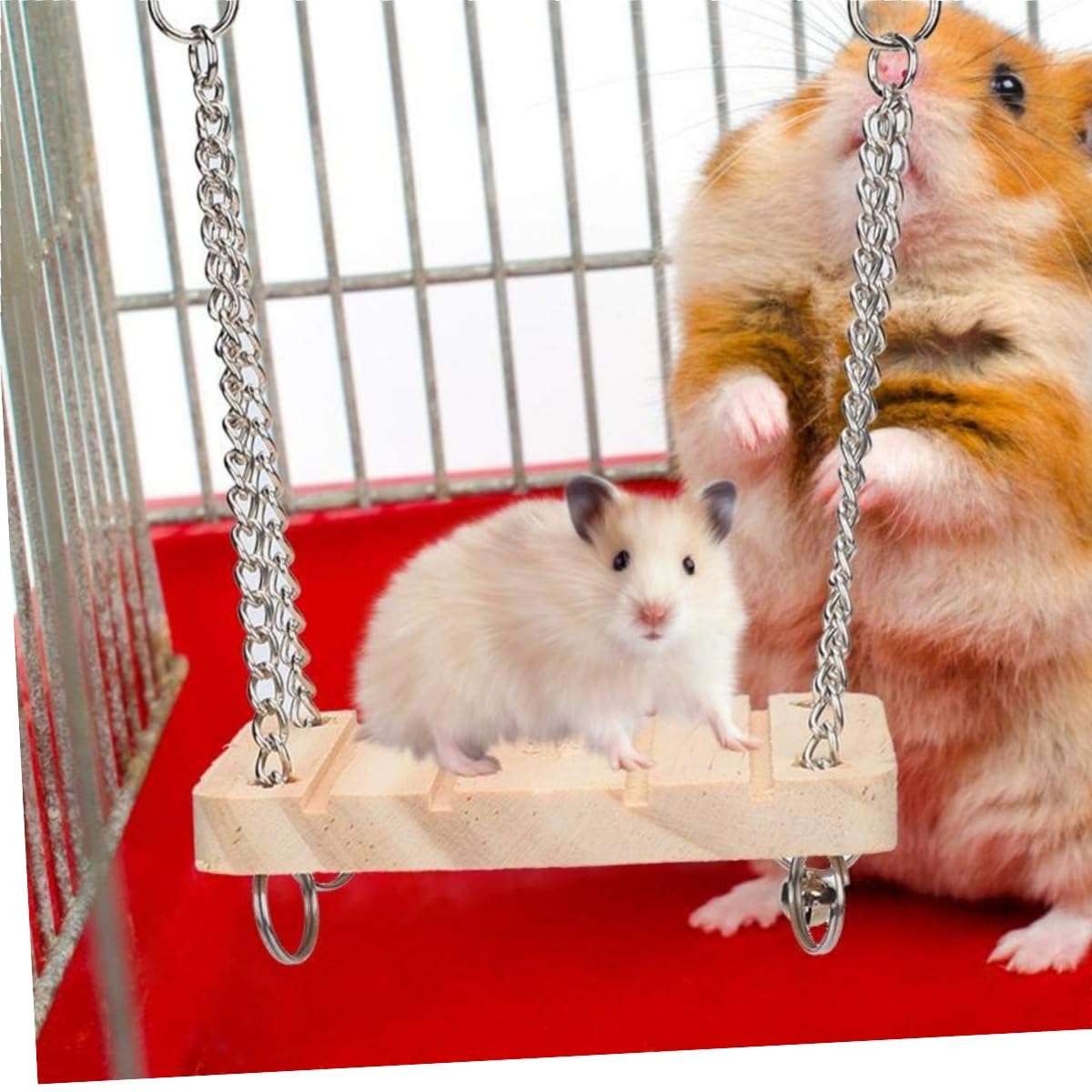 3 Giocattoli Masticatori Naturali Per Criceti E Roditori Luffa Per