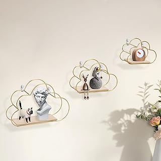 3 Pack Cloud Shape Wall Mounted Floating Shelves, Decorative Storage Dis...