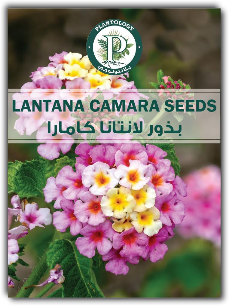 Lantana Camara Seeds