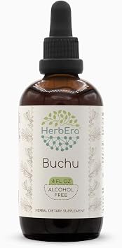 HerbEra Buchu B120 Alcohol-Free Herbal Extract Tincture, Concentrated Liquid Drops Natural Buchu Agathosma Betulina Dried Leaf 4 fl oz