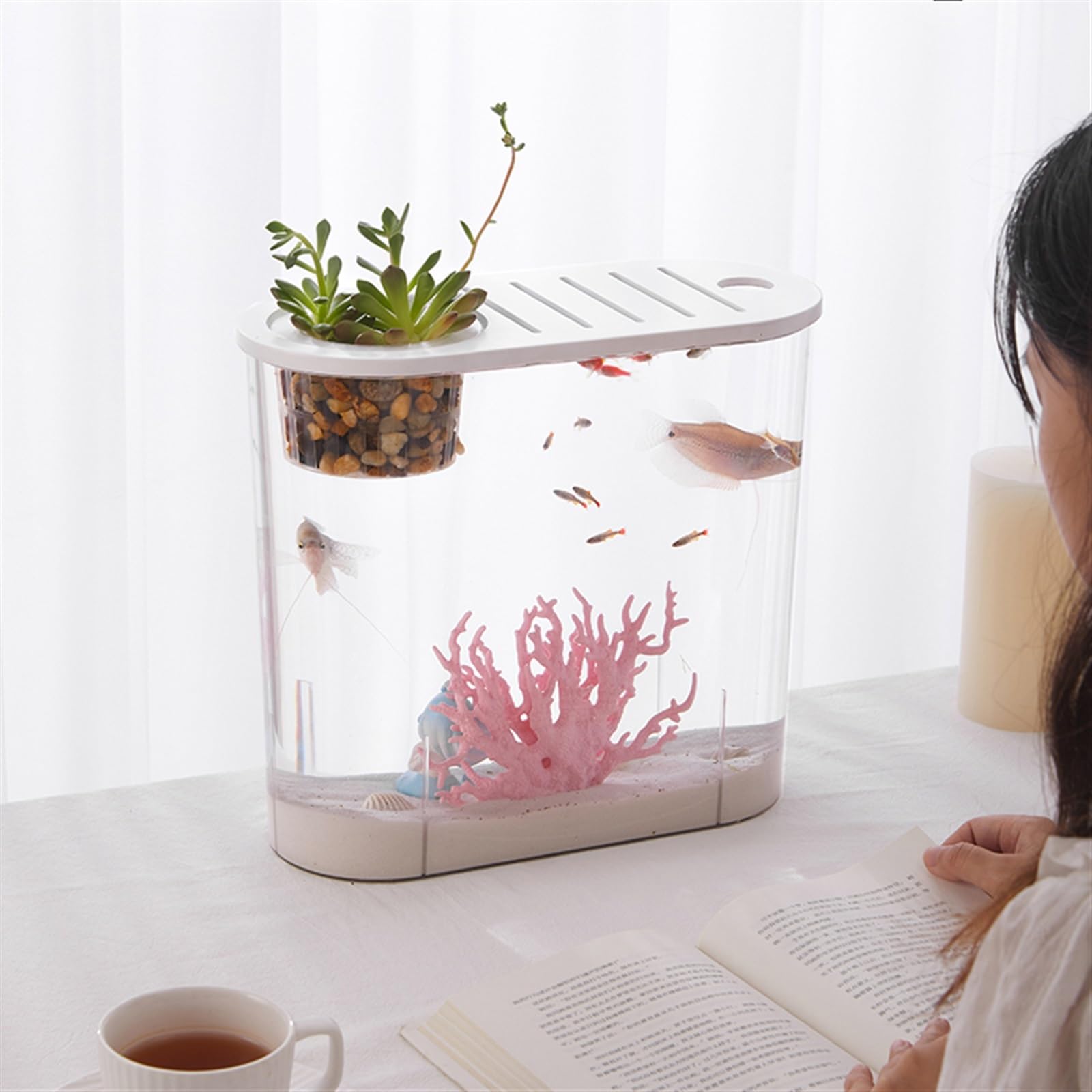 Acuario Pecera Pequeña Micro Paisaje Transparente Pecera Grande Ecológica Hogar con Tapa Escritorio Ovalada se Pueden Plantar Plantas Acuáticas Peces Acuario(Grande)